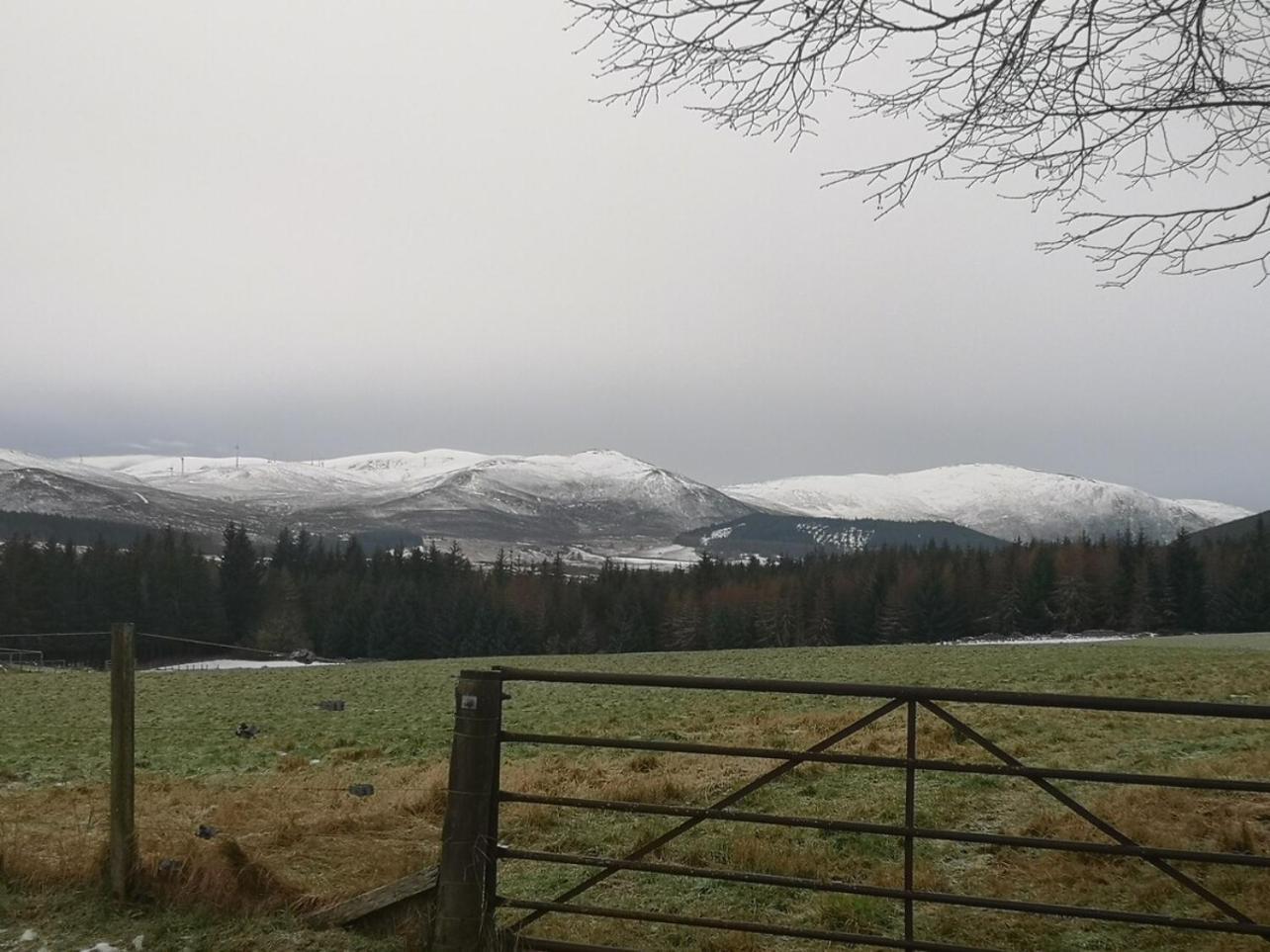 Mike'S 3-Bedroom Countryside Cottage Alness Exterior foto
