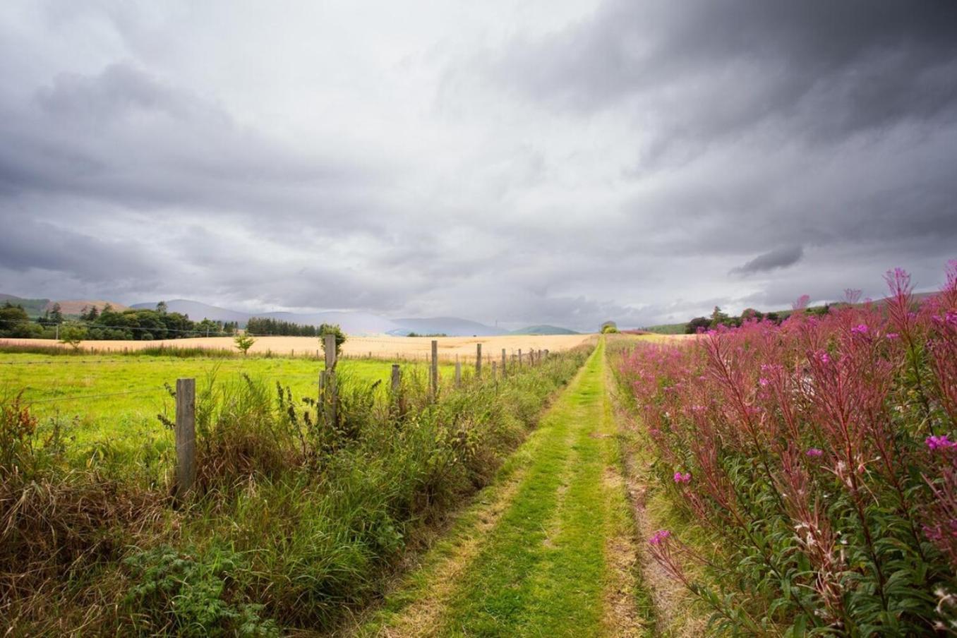 Mike'S 3-Bedroom Countryside Cottage Alness Exterior foto