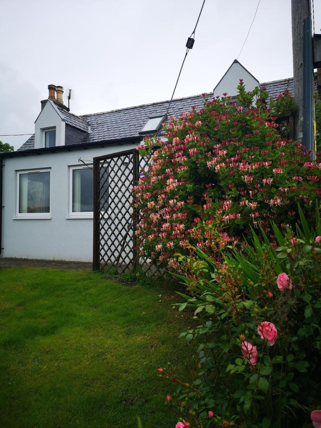 Mike'S 3-Bedroom Countryside Cottage Alness Exterior foto